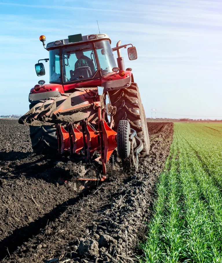 Organic farms avoid toxic inputs, improve soil health, grow clean, sustainable food that supports nature.
